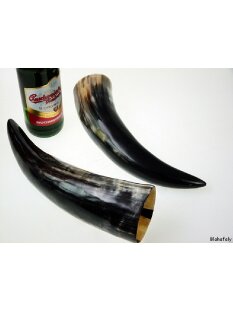 Zier- und Trinkhorn 40 cm 1A Qualit&auml;t 0,4 bis 0,49 Liter = Code E