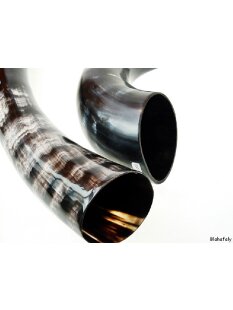 Zier- und Trinkhorn 45 cm 1A Qualit&auml;t 0,6 bis 0,69 Liter = Code F