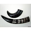 Zier- und Trinkhorn 45 cm 1A Qualit&auml;t 0,6 bis 0,69 Liter = Code F