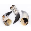 Zier- und Trinkhorn 45 cm 1A Qualit&auml;t 0,6 bis 0,69 Liter = Code F