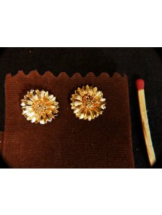 1 Paar Ohrstecker No.52 vergoldet astrologisches Motiv...