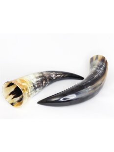 Zier- und Trinkhorn 50 cm 0,8 bis 0,99 Liter = Code H