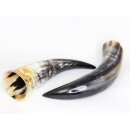 Zier- und Trinkhorn 50 cm 0,8 bis 0,99 Liter = Code H