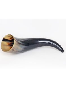 Zier- und Trinkhorn. 1,0 bis 1,99 Liter = Code I