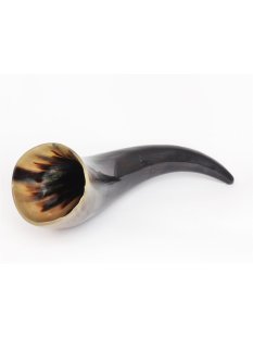 Zier- und Trinkhorn. 1,0 bis 1,99 Liter = Code I