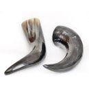 Zier- und Trinkhorn. 1,0 bis 1,99 Liter = Code I