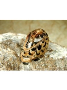 Hornfigur Schleiereule. sitzend = Code A 4 cm