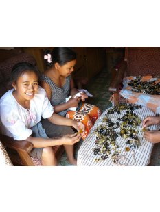 Hornkette Hanta gemasert poliert 55 cm - 50 %