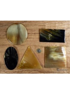 Hornplatten 100 mm in 5 Formen poliert einfarbig 2....