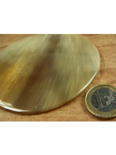 Hornplatten 100 mm in 5 Formen poliert einfarbig 2....