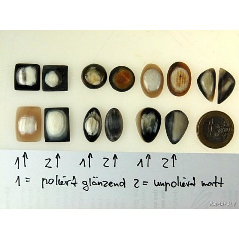 Hornplatten 15 x 15 mm in 7 Formen gew&ouml;lbte Platte, Oberfl&auml;che poliert / matt
