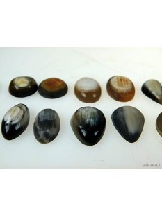 Hornplatten 15 x 15 mm in 7 Formen gew&ouml;lbte Platte, Oberfl&auml;che poliert / matt