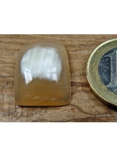 Hornplatten 15 x 15 mm in 7 Formen gew&ouml;lbte Platte, Oberfl&auml;che poliert / matt