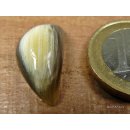 Hornplatten 15 x 15 mm in 7 Formen gew&ouml;lbte Platte, Oberfl&auml;che poliert / matt