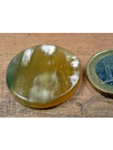 Hornplatten 25 mm in 5 Formen poliert