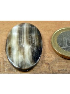 Hornplatten 25 mm in 5 Formen poliert