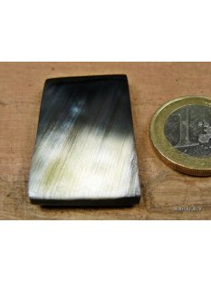 Hornplatten 25 mm in 5 Formen poliert