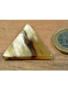 Hornplatten 25 mm in 5 Formen poliert