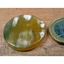 Hornplatten 25 mm in 5 Formen poliert