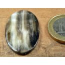 Hornplatten 25 mm in 5 Formen poliert