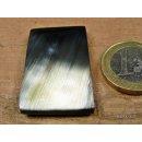 Hornplatten 25 mm in 5 Formen poliert