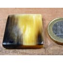 Hornplatten 25 mm in 5 Formen poliert