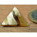 Hornplatten 25 mm in 5 Formen poliert