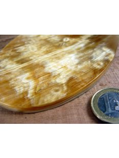 Hornplatten 120 mm in 5 Formen  poliert / antik / matt