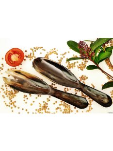 Horn Salatbesteck Sylke 30 cm = Code F