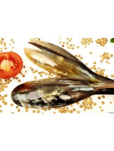 Horn Salatbesteck Sylke 30 cm = Code F