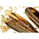 Horn Salatbesteck Sylke 30 cm = Code F