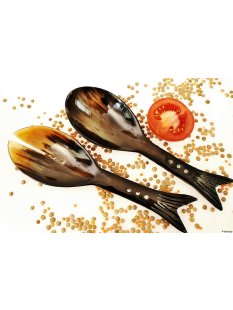 Horn Salatbesteck Solo 26 cm = Code F