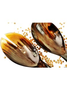 Horn Salatbesteck Solo 26 cm = Code F