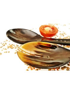 Horn Salatbesteck Solo 26 cm = Code F