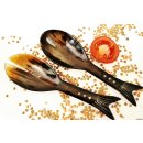 Horn Salatbesteck Solo 26 cm = Code F