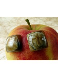 Horn Ohrstecker. quadrat gew&ouml;lbt 15 mm = Code E