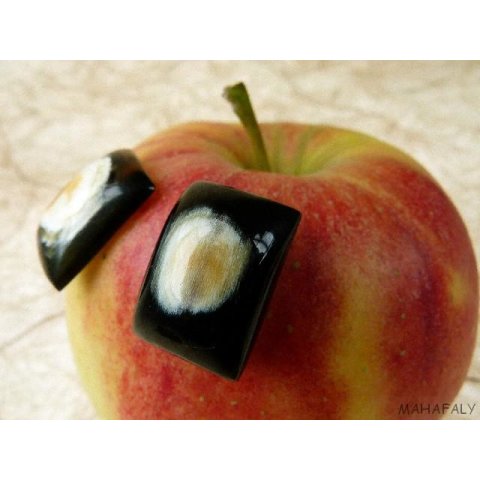 Horn Ohrstecker. rechteckig gew&ouml;lbt 15 mm = Code E