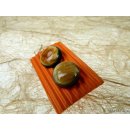 Horn Ohrstecker. rund gew&ouml;lbt 15 mm = Code E