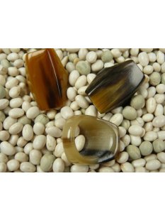 Hornring. M11 = Code B