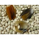 Hornring. M11 = Code B