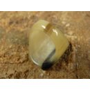 Hornring. M11 = Code B