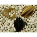 Hornring. M12 = Code B