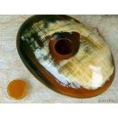 Horn Menage 100 x 65 mm im Set Salz + Pfeffer oval  Code G