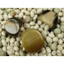 Hornring. M27 = Code B