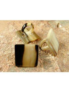 Hornring. M05 quadrat = Code B