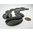 Hornscheibe Form Blatt grau matt und teilpoliert 55 x 40 mm