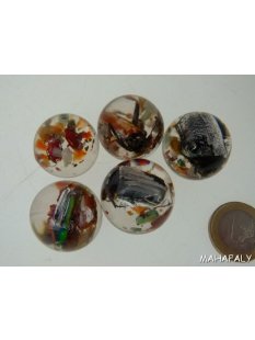 K&auml;ferkugeln Insekten in Acryl D:25 mm