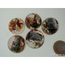 K&auml;ferkugeln Insekten in Acryl D:25 mm