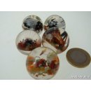 K&auml;ferkugeln Insekten in Acryl D:25 mm