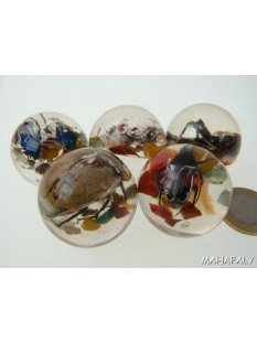 K&auml;ferkugeln Insekten in Acryl D: 30 mm